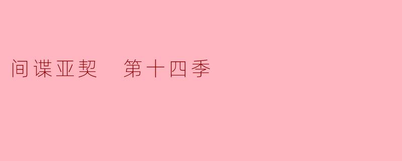 间谍亚契 第十四季